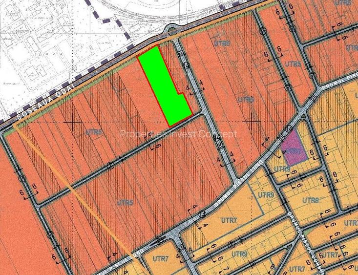 Vanzare teren 13000 mp Baneasa - Soseaua Odai - 3