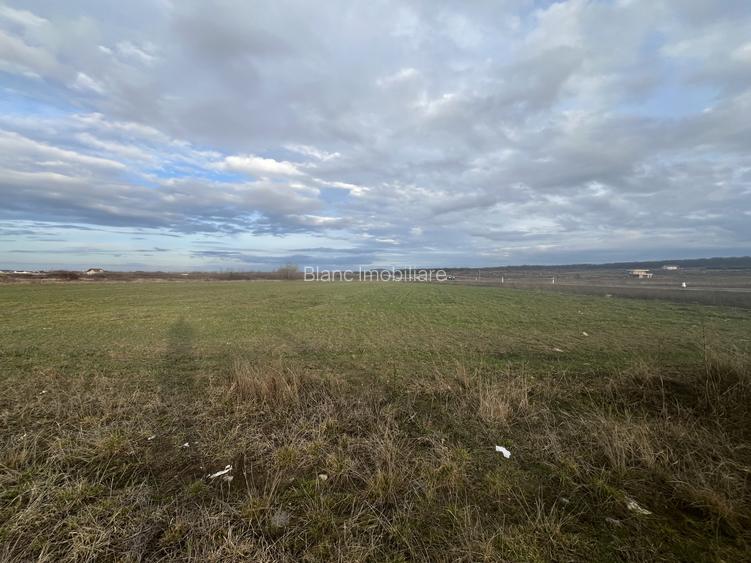 Oportunitate, 9196 mp, 30 euro/mp, 187,78 m deschidere la inelul metropolitan - 3