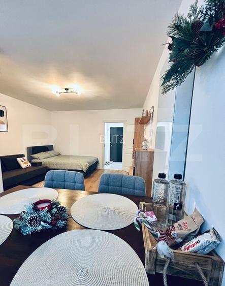 Garsoniera renovata si mobilata-utilata, 31 mp, Brazda lui Novac - 3