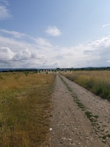 Teren intravilan 550mp - Cisnadie, zona aerodrom Magura,direct de la proprietar! - 4