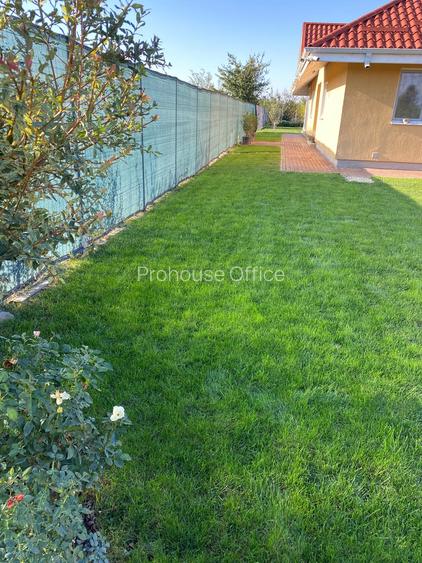 Vrei liniște aproape de oraș ? la 20 min de București , Moara Vlasiei/Gradistea - 7