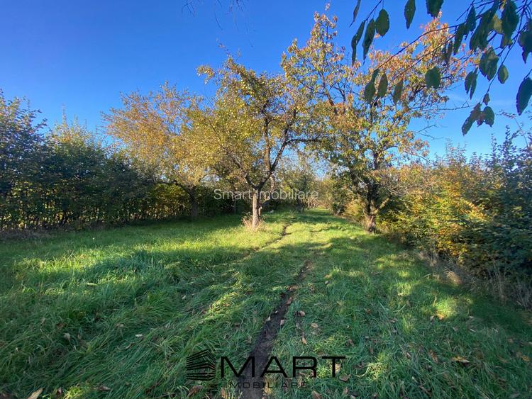 Teren extravilan 3200mp zona Tropinii Vechi - 2