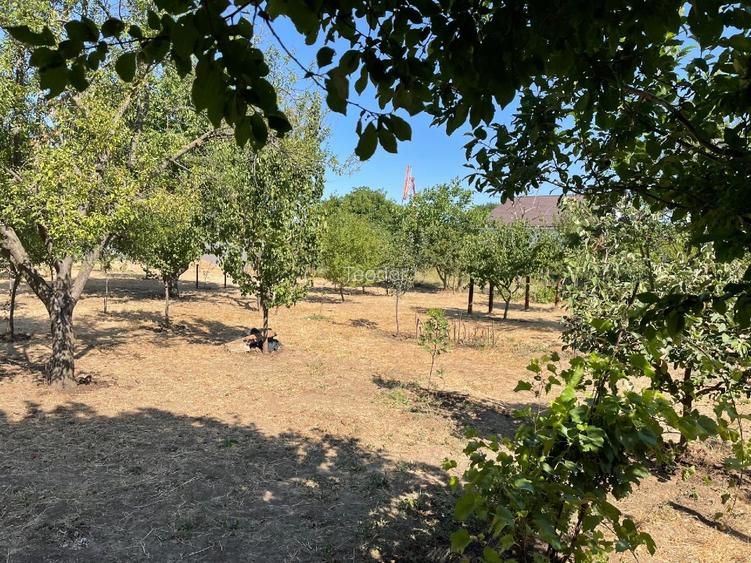 Teren Investitie Lumina - 3000 mp, Deschidere 47m, Toate utilitatile - 7