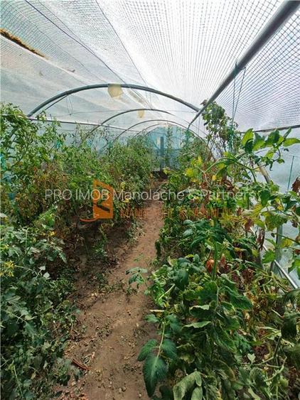 Casa tip parter din caramida + teren 568 mp in Movila Banului, Buzau - 12