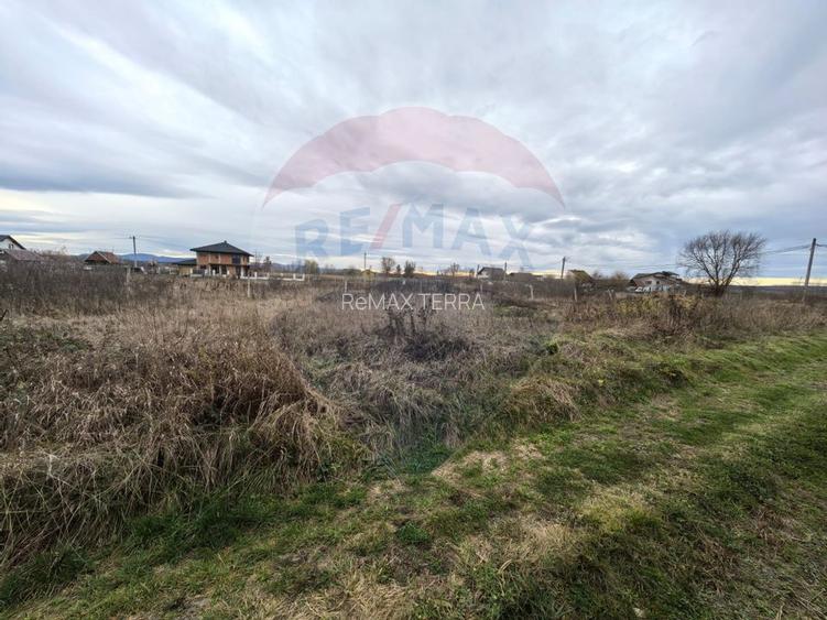 Teren de vanzare in Sacalaseni - zona case noi langa Moara Veche - 5