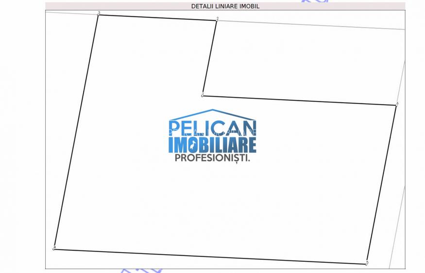 Teren intravilan M. Kogalniceanu, 4000MP, la drumul national - 10