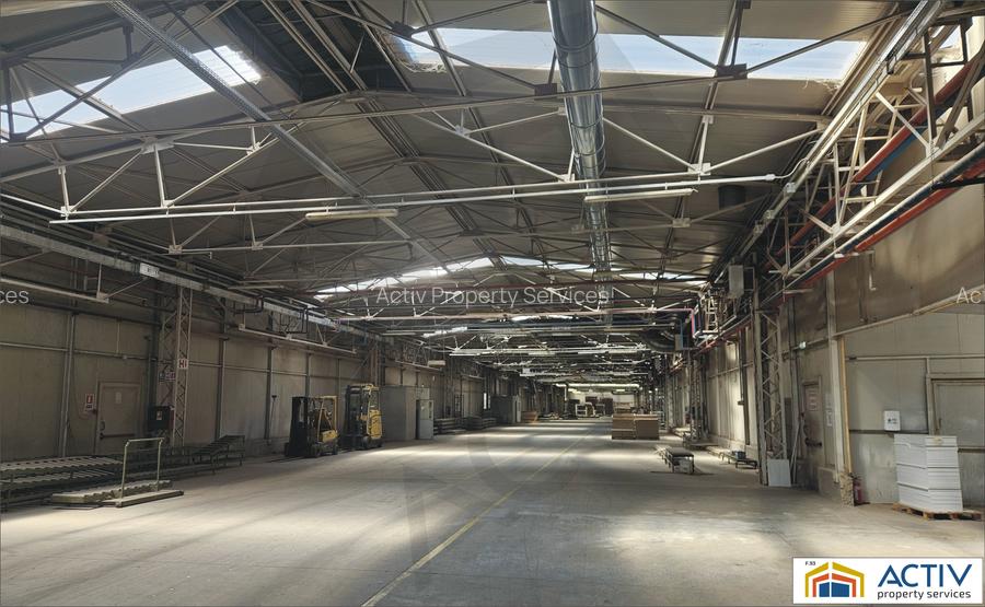 Hale moderne de inchiriat in Sebes-Alba - 5