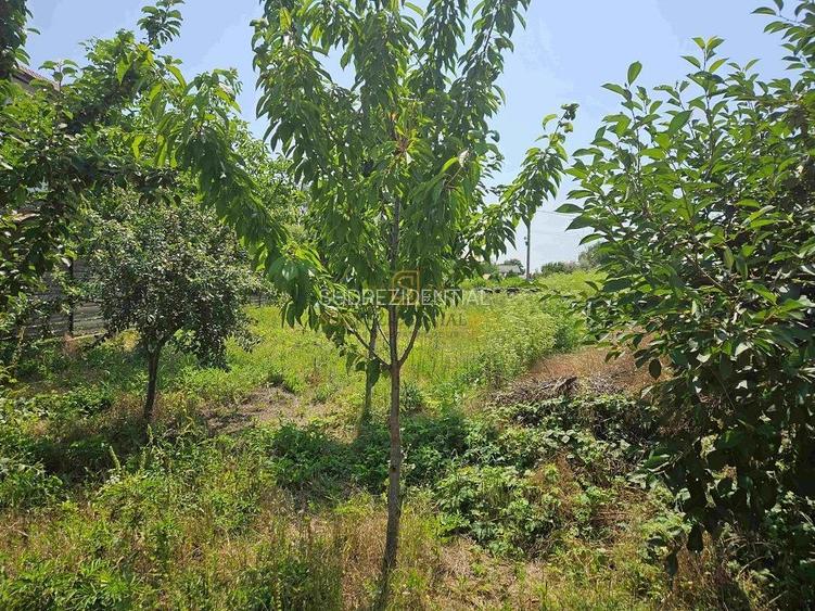 Teren de vanzare, 561 mp, strada Cetatea Alba, Mamina, Comuna Berceni - 5