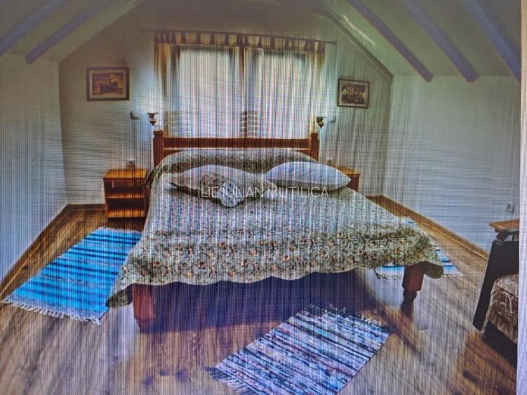 De vanzare Pensiunea Casa Delta,8 camere, situata pe Dunarea Veche, langa Lebada - 6