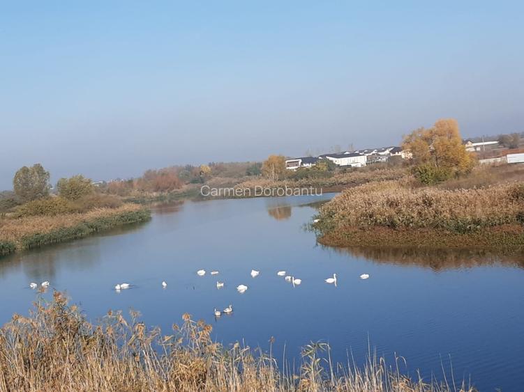 Casa / vila curte mare pe malul lacului - 4