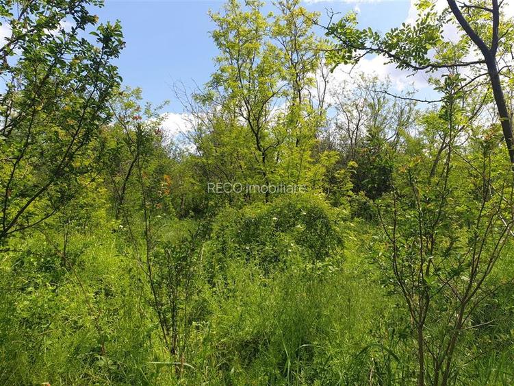 Teren extravilan Episcopia Bihorului - 4