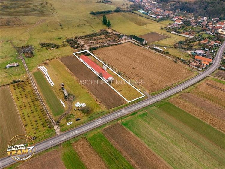 FILM! Ferma de iepuri,Malnas,Covasna: domeniu:comercial/industrial,asset UE - 21