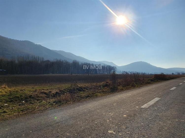 Vanzare Teren intravilan Str. Cucului, zona Bartolomeu 18600 mp - 4