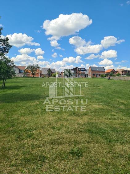 Teren intravilan 1374 mp,Giarmata,comision 0 - 3