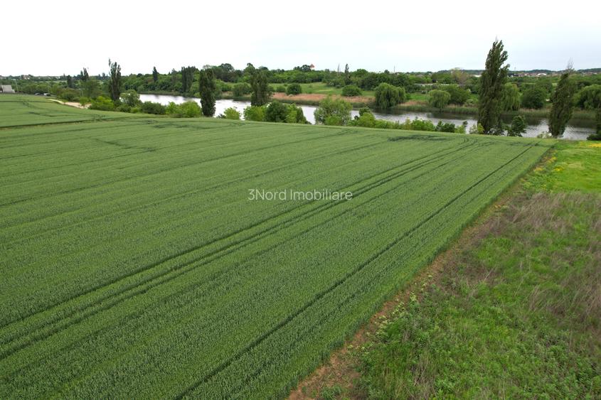 Teren intravilan - 16.450 mp, Corbeanca - Balotesti, deschidere la lac - 10