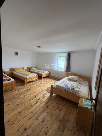 Cabana de 210mp, 2600 mp teren, in Rachitele - 4