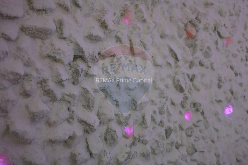 Hotel / Pensiune cu 24 camere de vânzare - Băile 1 Mai - 24