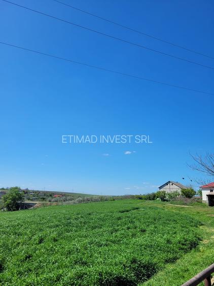 FERMĂ - PIETRENI - DN3 - UTILITĂȚI - 10.680 MP - 7