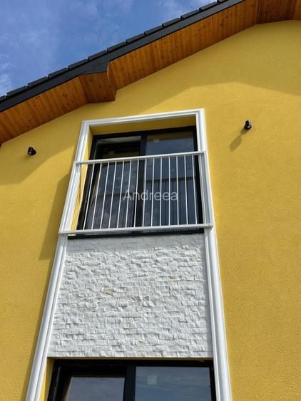 Duplex Mosnita veche - 16