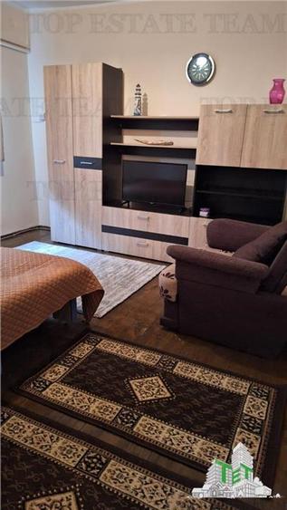 Vila moderna + casa renovata cu 2 apartamente si teren generos - Palazu Mare ,