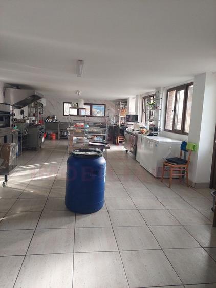CASĂ\VILĂ DE VÂNZARE \COM. OBREJA\SAT IAZ\CARAȘ-SEVERIN