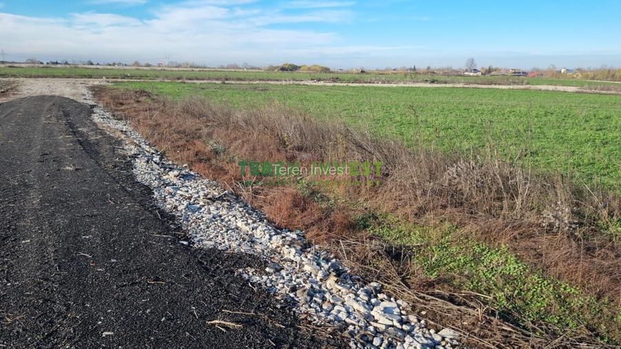 Vânzare loturi rezidențiale Popești-Leordeni/Frumușani - 12