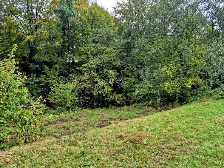 Comision 0%, teren extravilan 12497 mp Sinca Noua - 27