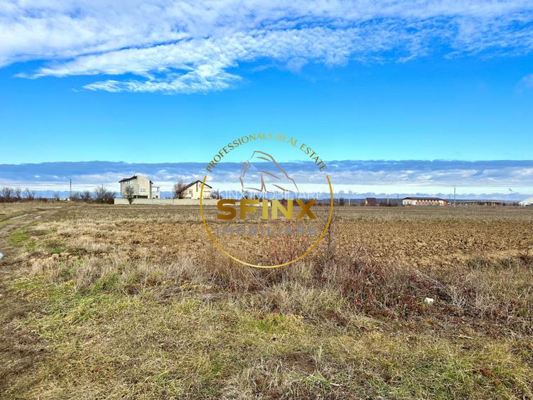 LOT de casa Tartasesti Primarie | teren cu potential - 3