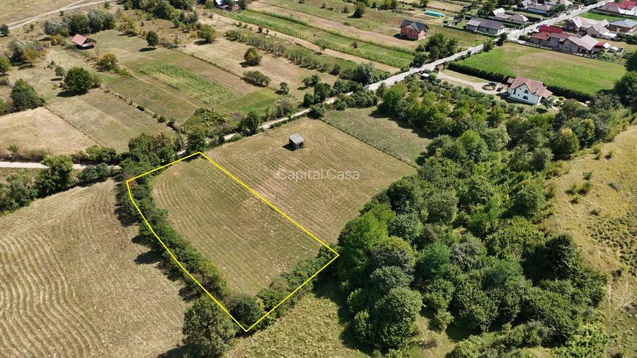 Teren superb de Vanzare in Darmanesti, Bacau - 4