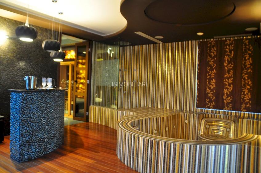 PENTHOUSE UNICAT vedere parc si la lac Herastrau - 25