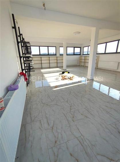 Ocazie Spatiu comercial Lunca Cetatuii - langa Centura - 23