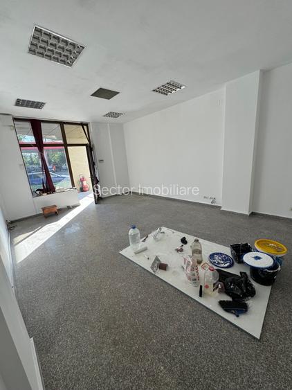 Cladire de Birouri Hala Productie Soseaua Alexandriei Stradal - 9