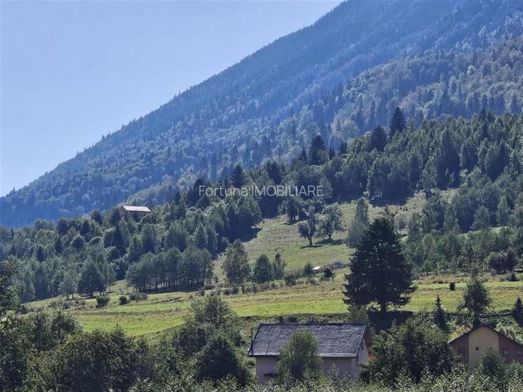 Teren intravilan, 21.000 mp, Zona Intre Barse, spre Plaiul Foii, Zarnesti - 5