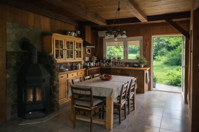 FILM! Resedinte montane,mobilate,echipate, jacuzzi,piscina,pretios areal,Sambata - 4