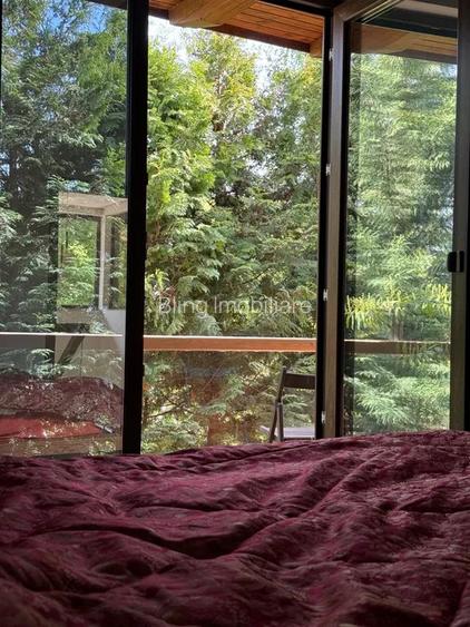 Vila de Lux, in Faget - 5