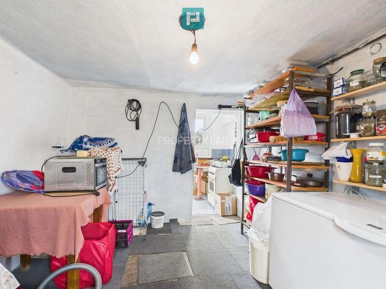 Casă individuală la Beregsău Mare, 2890 mp teren - 27