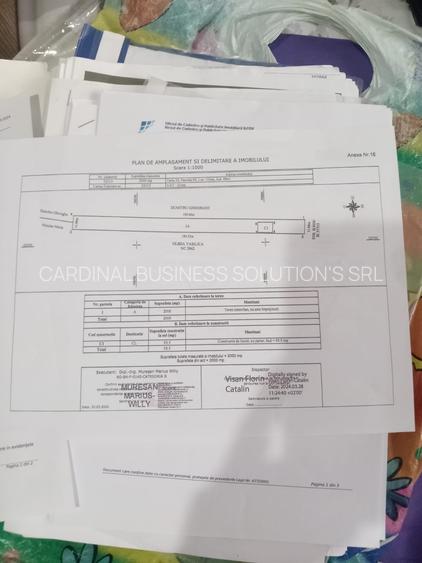 Glina - strada Ilfov, 2000 mp , d = 11 m - 3