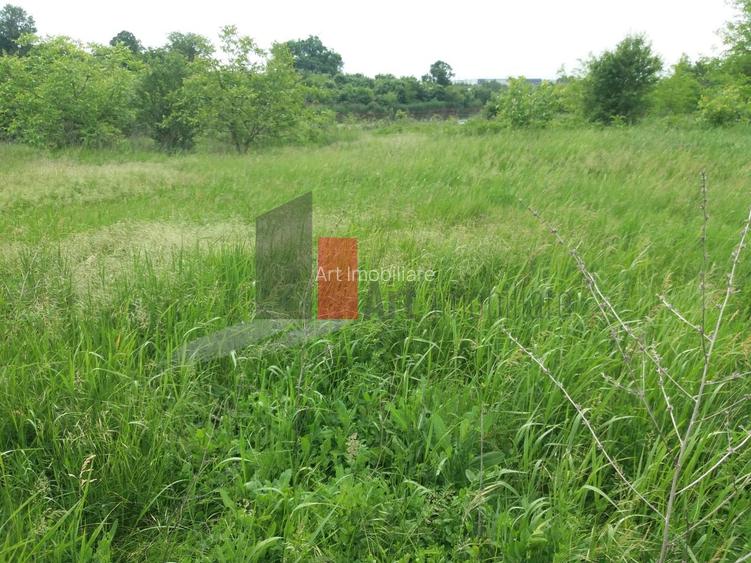 Teren Buftea cu iesire la lac - 12