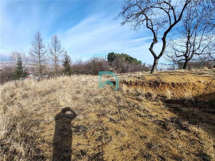 Teren intravilan de vanzare  Sacele - 7