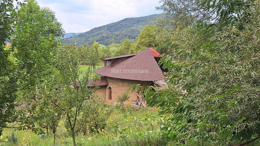 VANZARE ANSAMBLU CASUTE BRADULET ARGES - 4