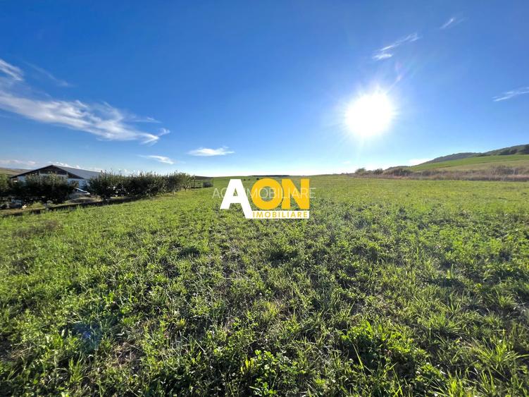 Ferma de vanzare cu 550MP utili si 27.500MP teren la asfalt - 22