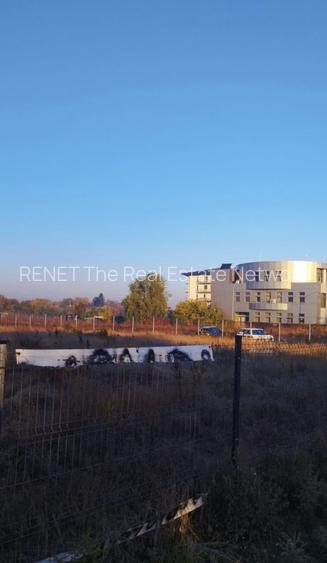 Inchiriez  teren 5000mp  Buc Măgurele, nr:236 stradal Sector 5 pentru 4500 EURO - 3