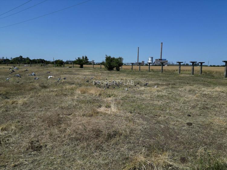 Tern intrevilan 4003 mp - 18