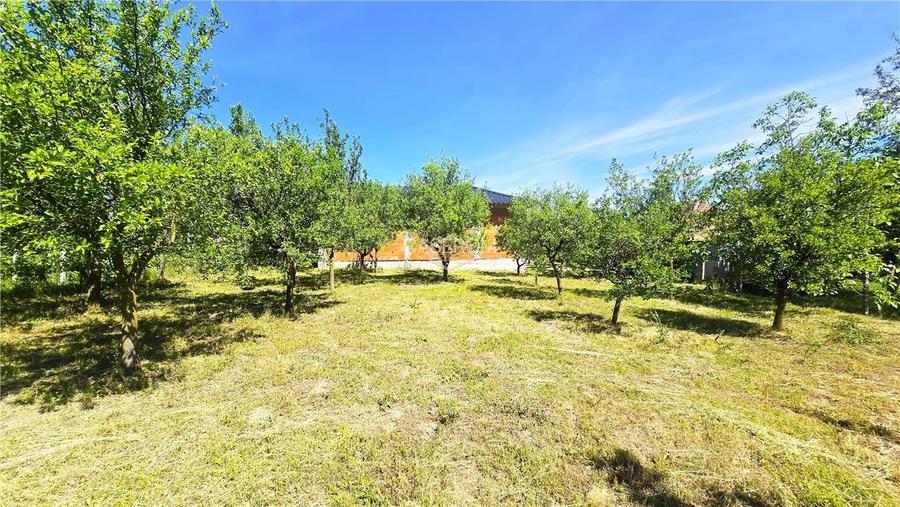 Casa Noua cu 4 camere - Teren imprejmuit 1.420 m² | Viile Satu Mare - 12