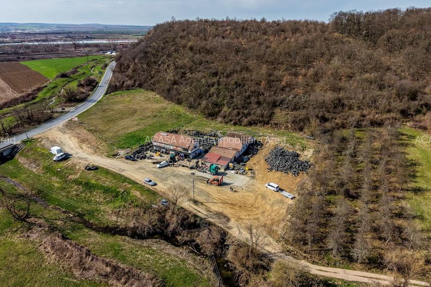 Oportunitate Investitie! Proprietate comerciala/industriala în Paulis - 5