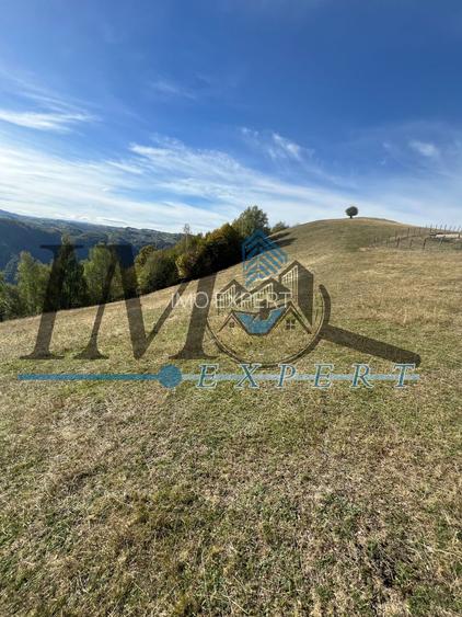 Teren extravilan la munte zona Loman! - 4