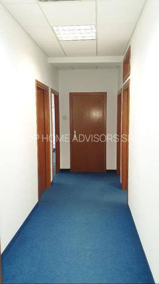 Spatiu birouri- Ion Mihalache- Ciuperca-Expozitiei - 6