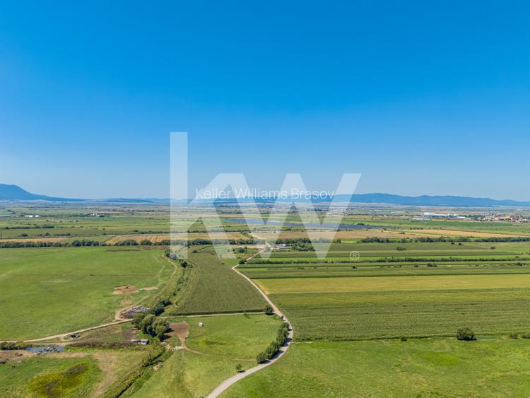 Teren pretabil constructie rezidentiala – Sanpetru - 14