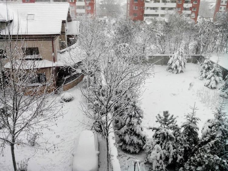 Apartament cu 3 camere Sos. Oltenitei, Gama Residence  - 15