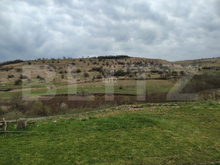 Casă specială 3 camere, 160 mp, teren 1000 mp, în Suceagu - 13